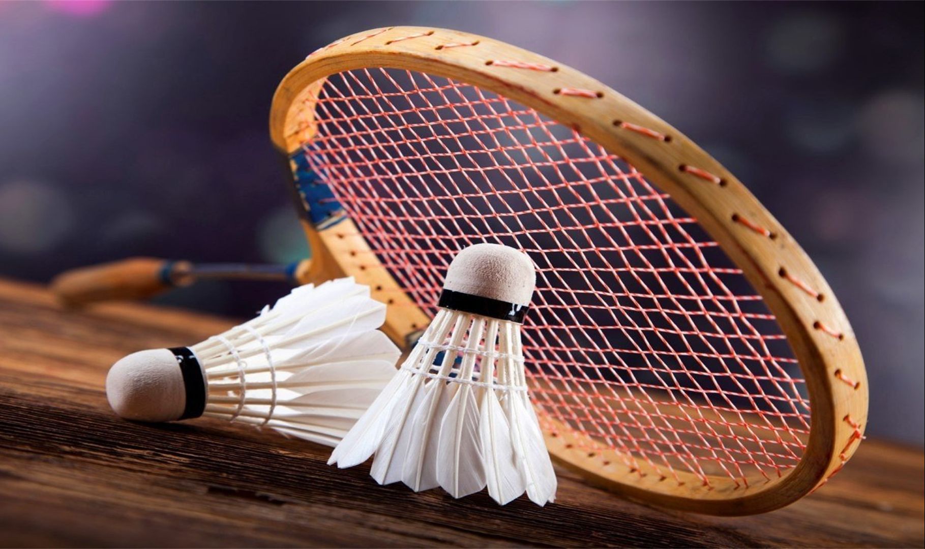 只租不买 只租不买